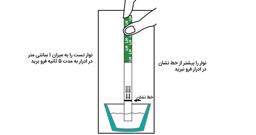 علت مثبت ماندن کیت تخمک گذاری برای مدت طولانی