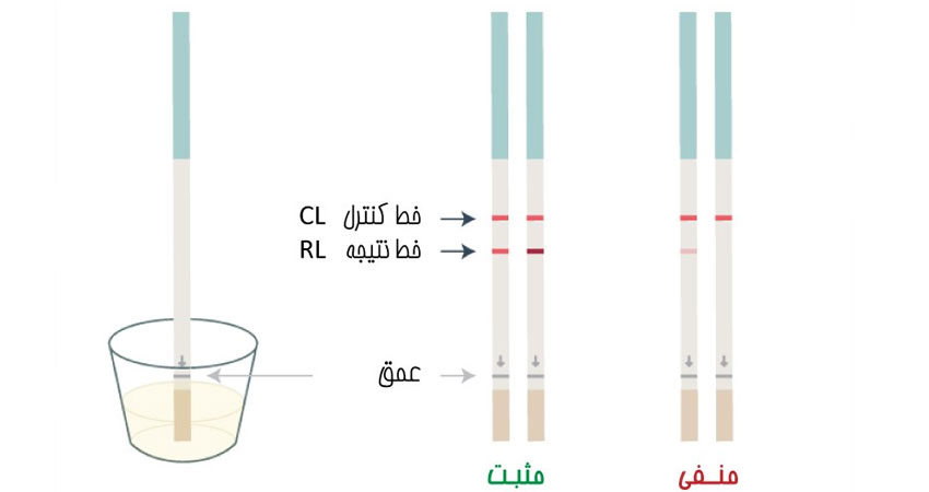 راهنمای استفاده از کیت تخمک گذاری